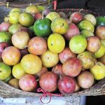 16293421 – open air fruit market in the village