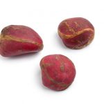 8192308 – whole kola nuts