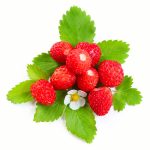 9912179 – wild strawberies heap with green leaves and flower isolated on white