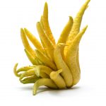 Buddhas20Hand-1510970496075.jpg
