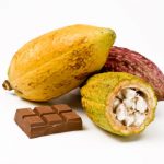 Cacao20Fruit-1510970835242-1561509761617.jpg