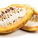 Cacao20Fruit202-1510970877891.jpg