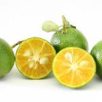Calamansi202-1529724490567.jpg
