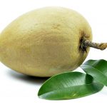 Fresh sapodilla tropical fruit