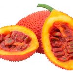 Gac20Fruit-1523251969045.jpg