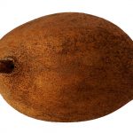 Mamey-1520473253051-1.jpg