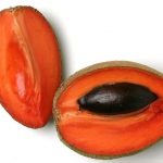 Mamey20Sapote202-1510961481568.jpg