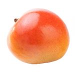 Mango20-20R2E2-1543939387430.jpg