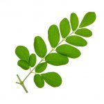 Moringa-1531910371233-1.jpg