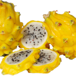 Yellow20Pitahaya-1511812005096.png