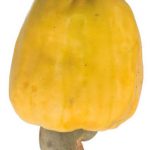 Cashew Nut Apple on white background