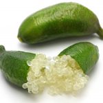 22081043 – finger lime, micro citrus on white background