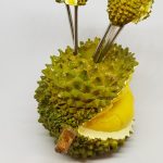 durian20fruit20fork20cut20open20120glossy-1568061226324.jpg