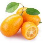 kumquat-1439056857439-1.jpg