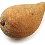 11972226 – mamey sapote