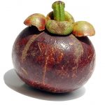 mangosteen-shop4-1561411611900-1.jpg