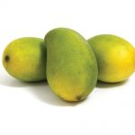 mingolo20mango-1612560926862.jpg