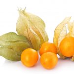 7768996 – cape gooseberry (physalis) isolated on white background