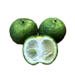 purssha_lime-removebg-preview-1605094383876-1.png